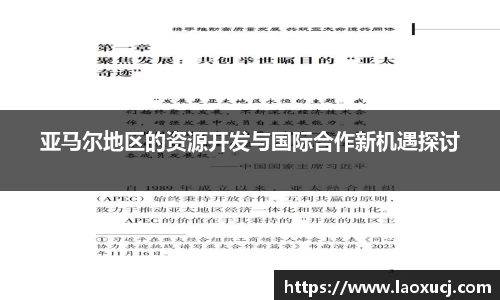 亚马尔地区的资源开发与国际合作新机遇探讨